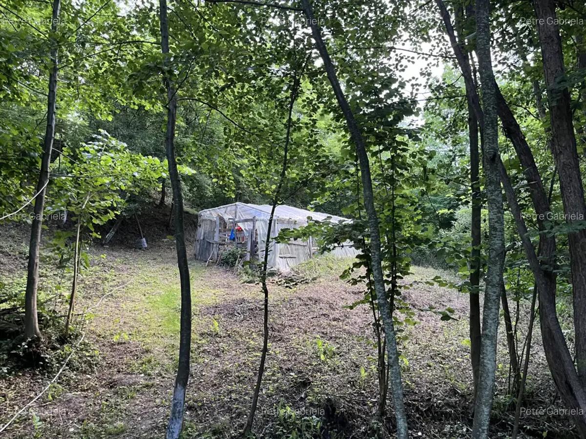 Casa situata intr-o zona superba - 3