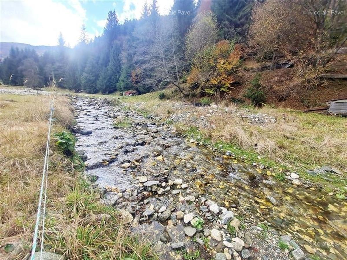 Teren intravilan panoramic 4.600mp,view iconic Piatra Craiului,oportunitate prem - 21