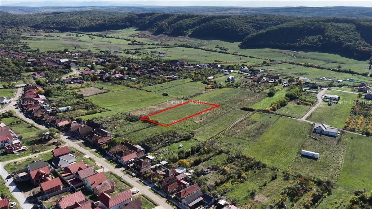 RECO Teren Intravilan Betfia - 2