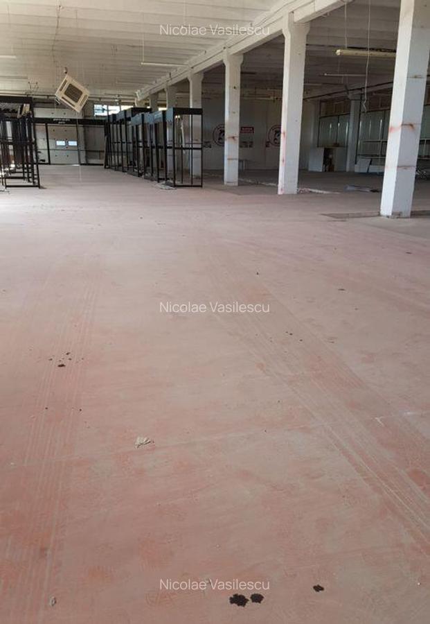Spa?iu depozitare si productie Ciolpani - 9