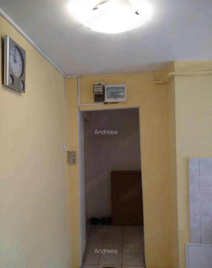 Apartament 2 camere centrala proprie Zona Sagului Ana Ipatescu - 10