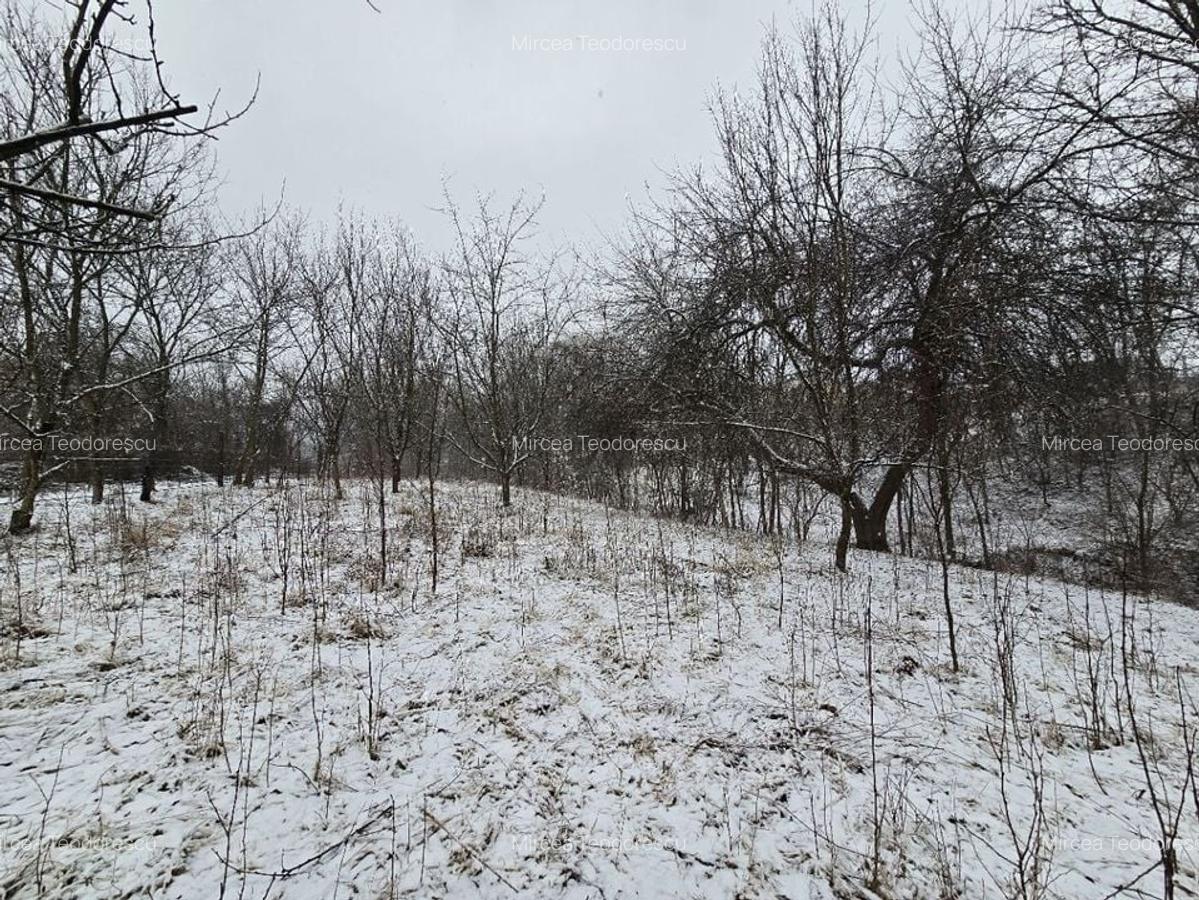 Casă și teren de vânzare în Colibași Dâmbovița Liniște Spațiu Natura - 4