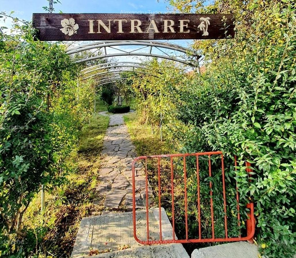 Spațiu comercial, 1800 mp în 13 Decembrie - 8