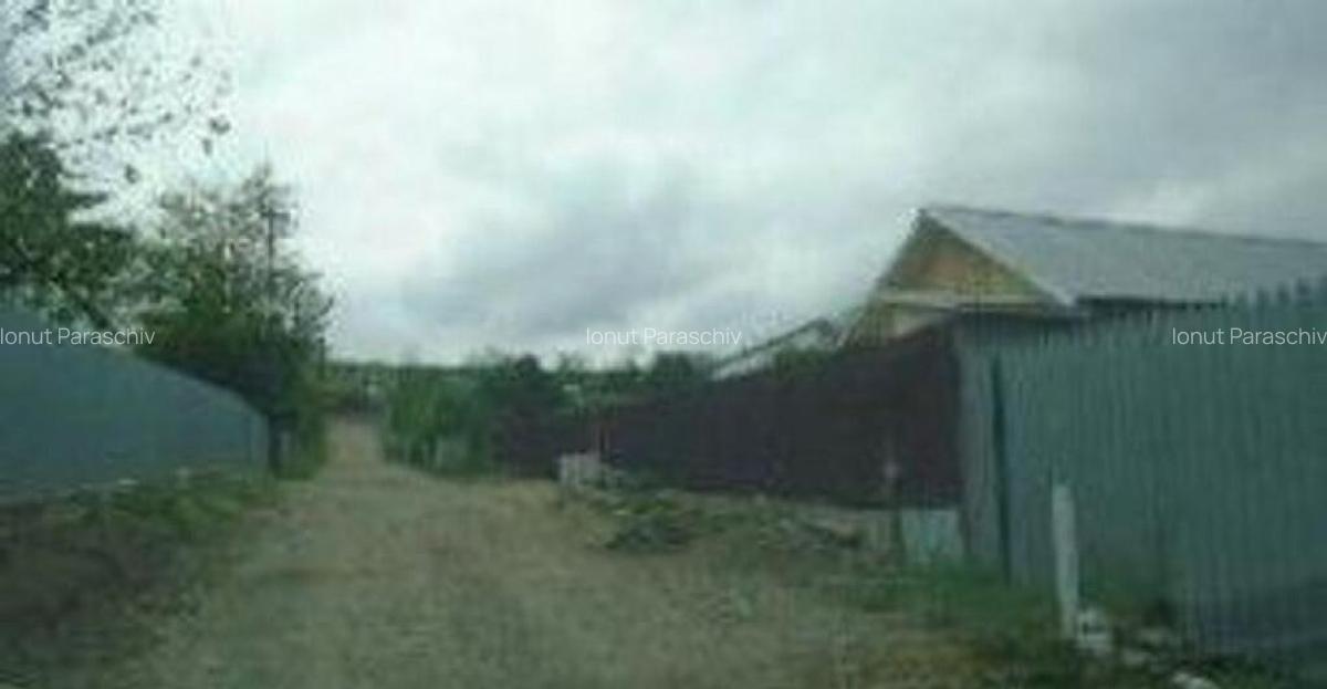 Casa si teren Umbraresti, ID: R2606068 - 22