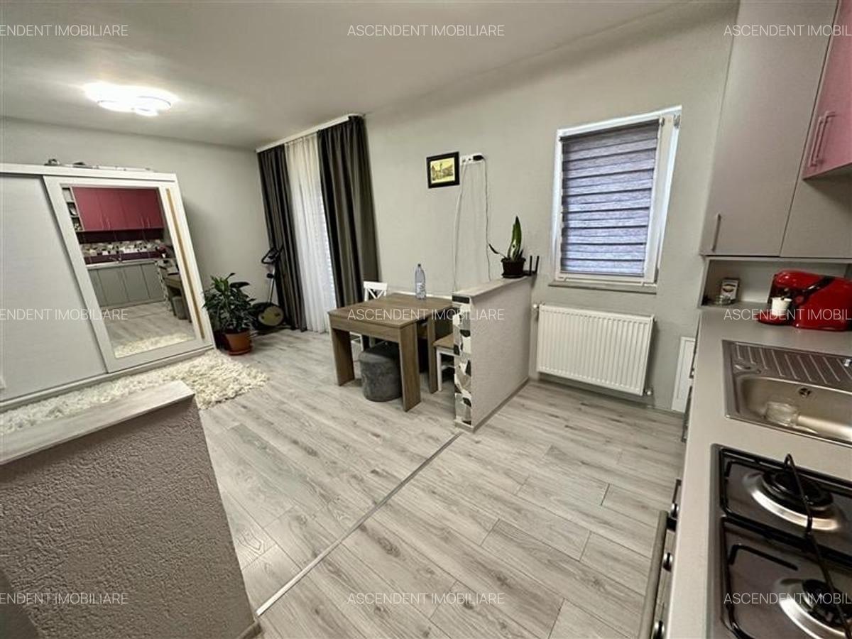 FILM&3D! Elegant,mobilat,accesorizat,totul nou,gata de mutat/inchiriat, Unirii,T - 14