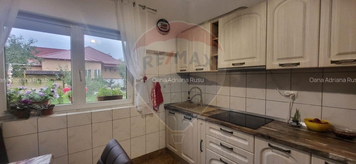 Vila impunatoare in Cartierul Functionarilor - 25