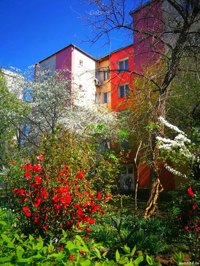 Apartament 3 camere etaj 1 Ion Creanga Prefectura Primarie(fostul C.E.C) liceul Pedagogic - 6