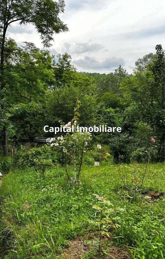 Casa Baicoi 95 mp Sc, 2578 mp teren - 5