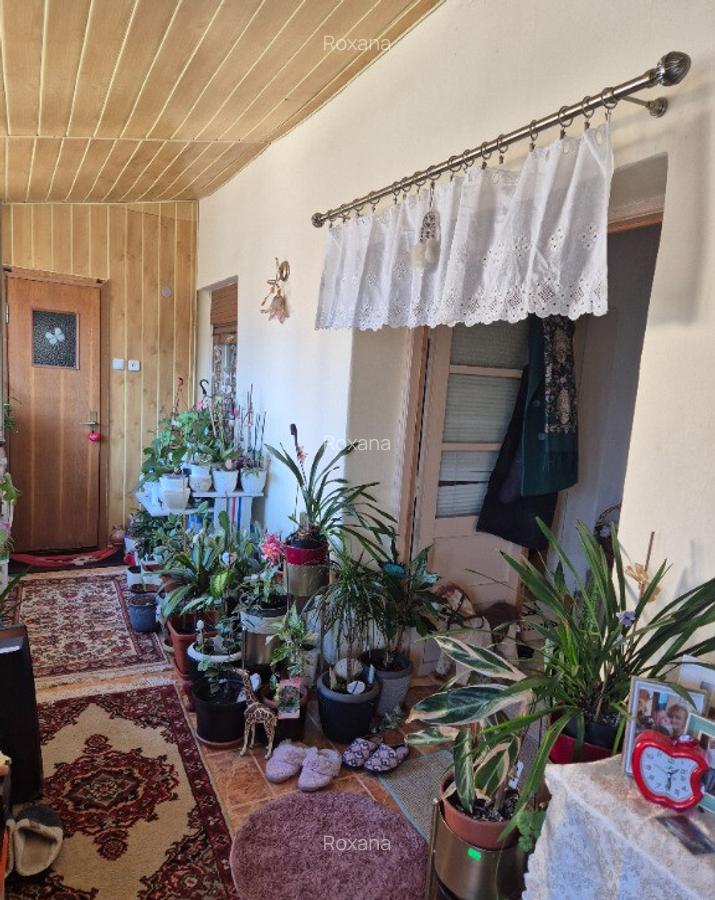 Casa Aleea Ghirodei Timisoara - 5