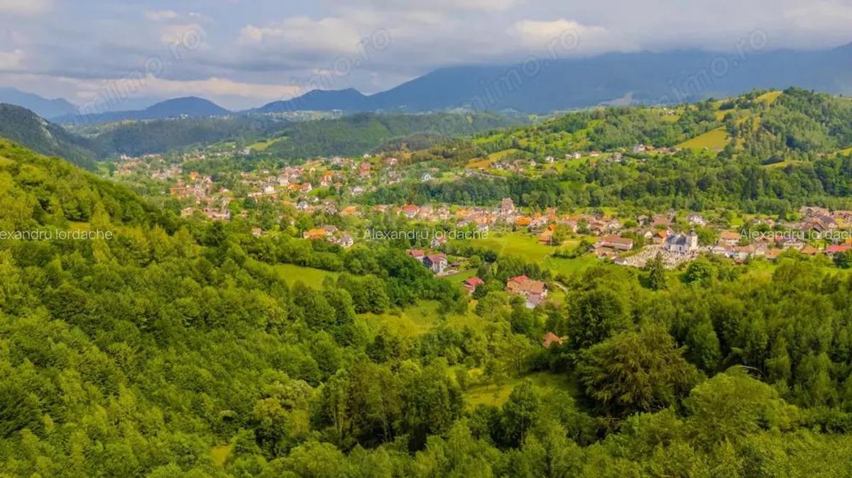 COMISION0% Teren de poveste in Moieciu de Jos parau, padure - 5