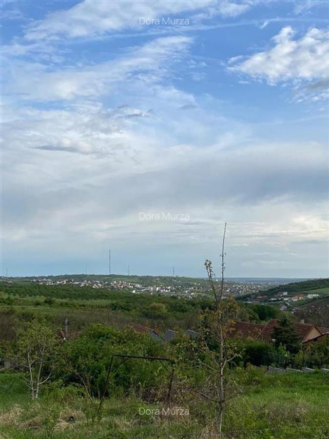 RECO Teren intravilan in  Saldabagiu de munte 985mp - 3