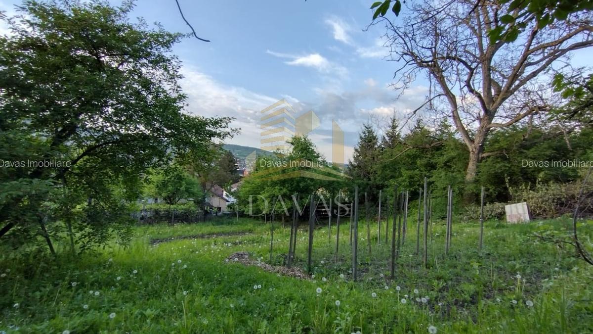 Casa alipita de vanzare | Gruia | Teren 890mp - 11