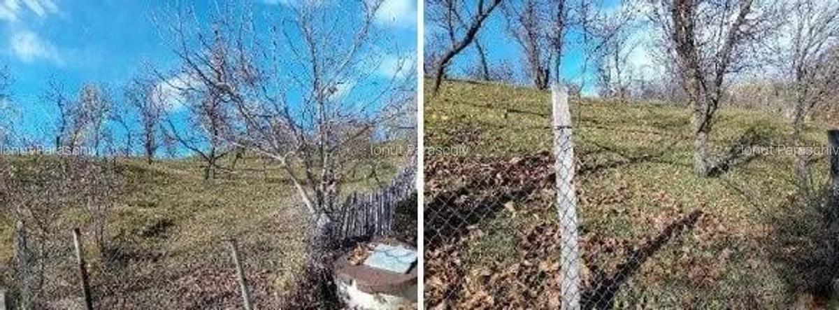 Teren cota parte 1/2, Sat Vistieru, ID: R2809860 - 2