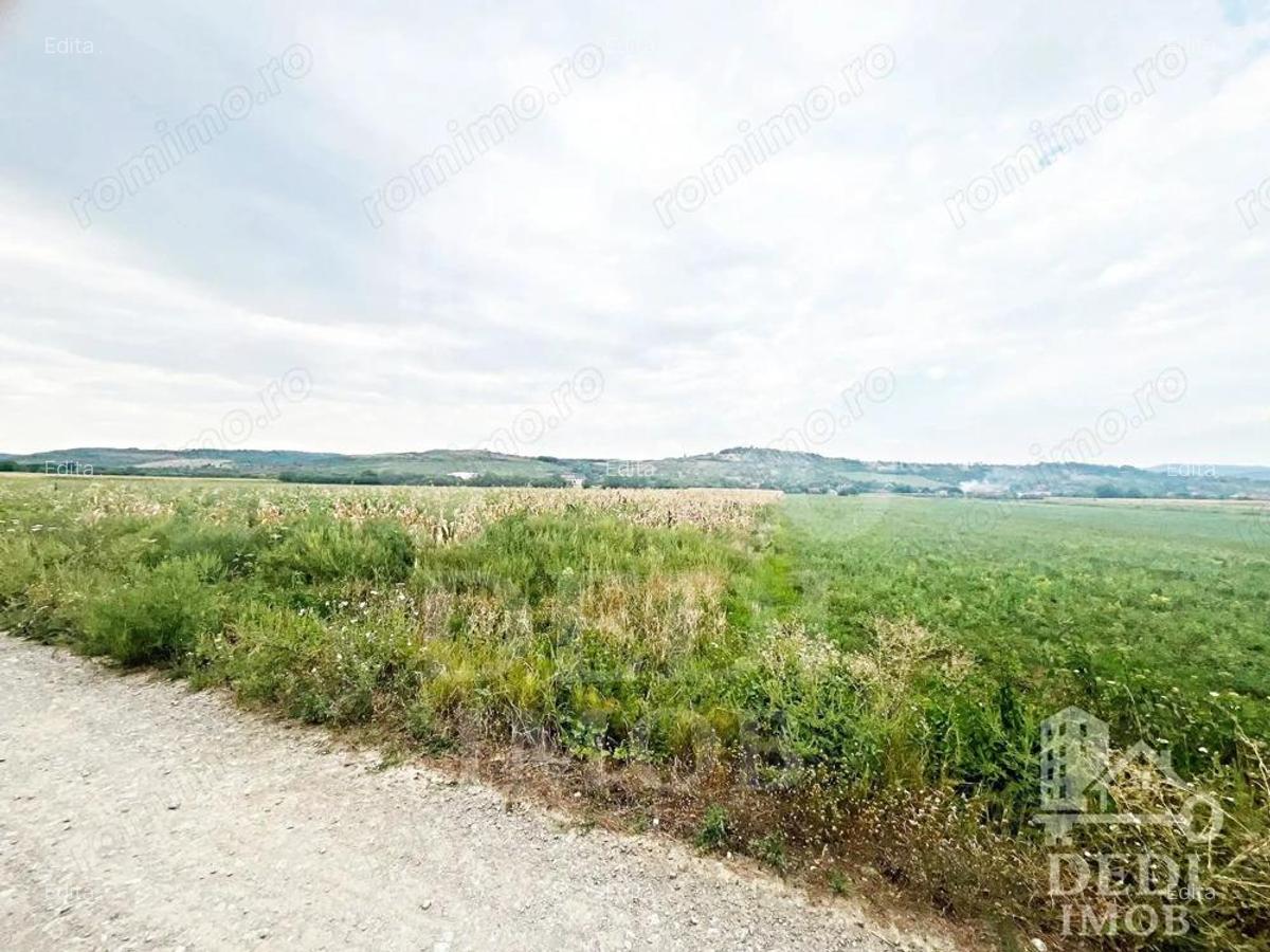 Teren extravilan Lugasu de jos, Bihor - 3