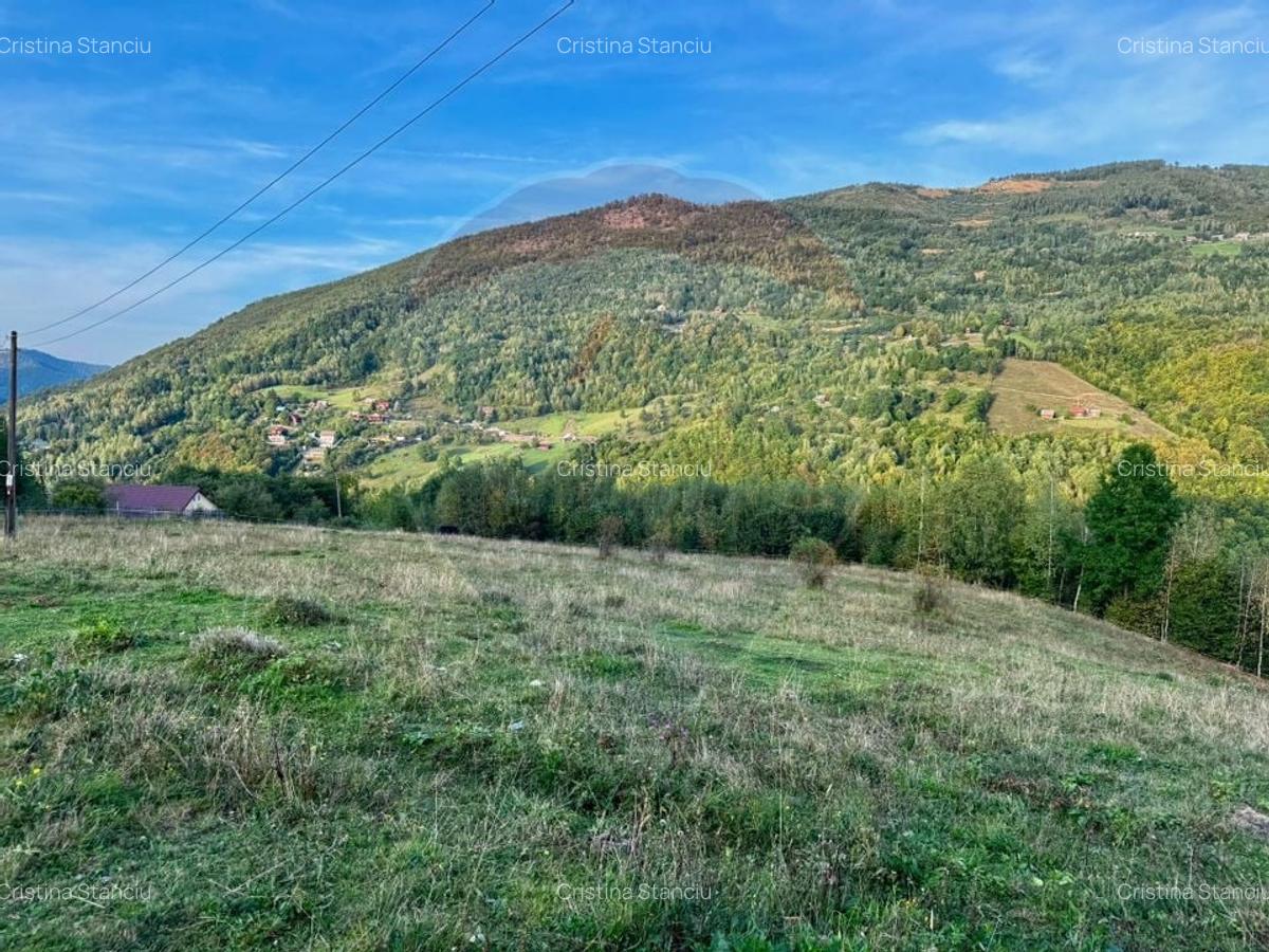 Teren cu priveliste incantatoare - Muntele Rece, Comision 0% - 1