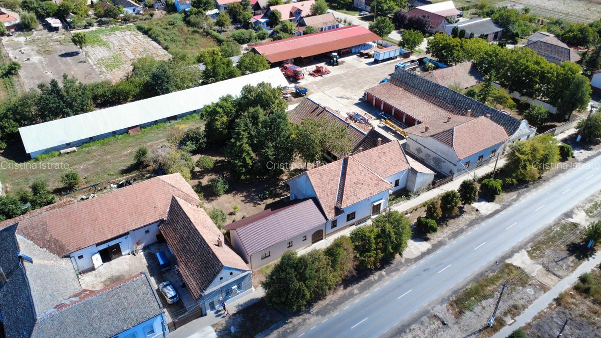 Cenad-Casa/Spatii Birouri- 150mp-teren 1065mp - 4