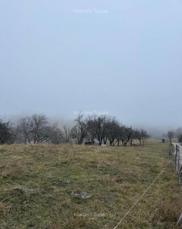 Teren Poiana Marului -Zarnesti -Brasov - 12