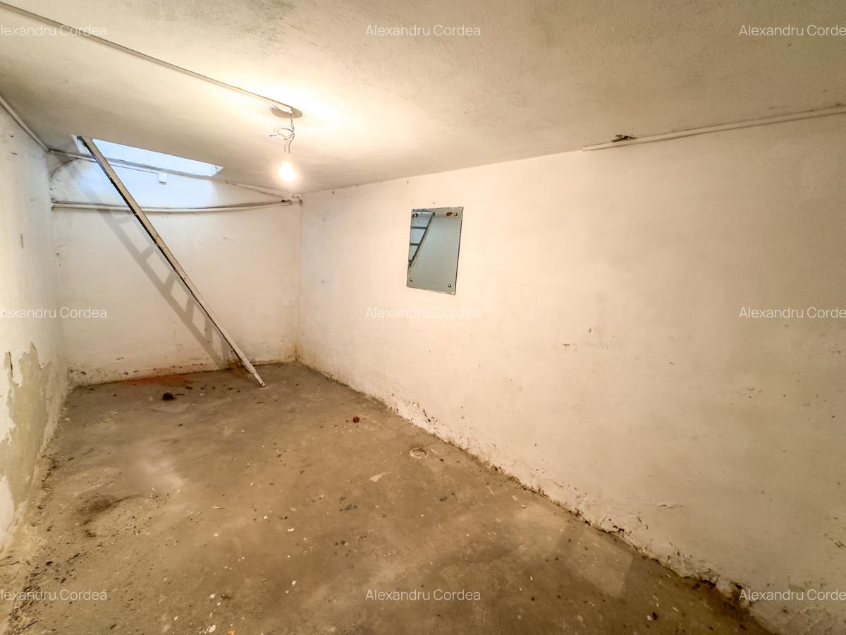 Piata Victoriei - Buzesti, str. Occidentului, Spatiu comercial de vanzare - 8
