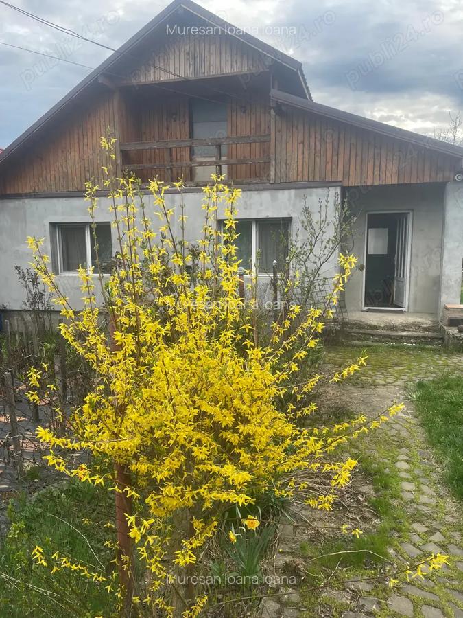 Casa de vanzare in Bargau, Maramure? - 2
