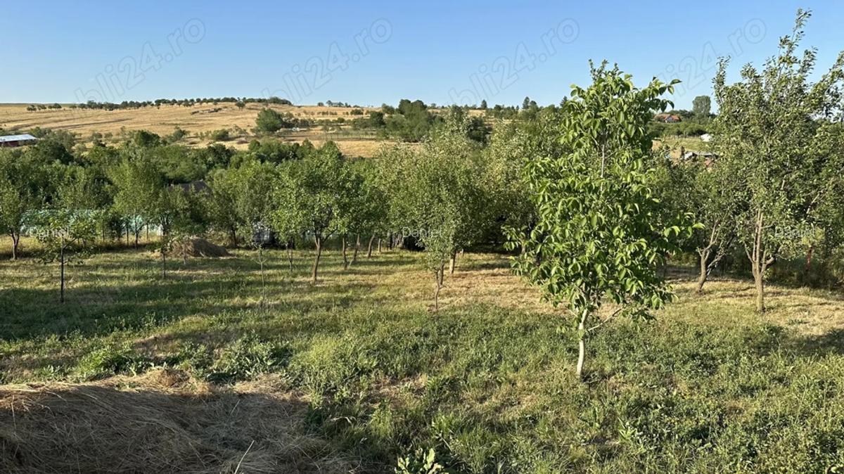De vanzare casa sat Tes, aproape de Timi?oara Topolova?u Mare - 4