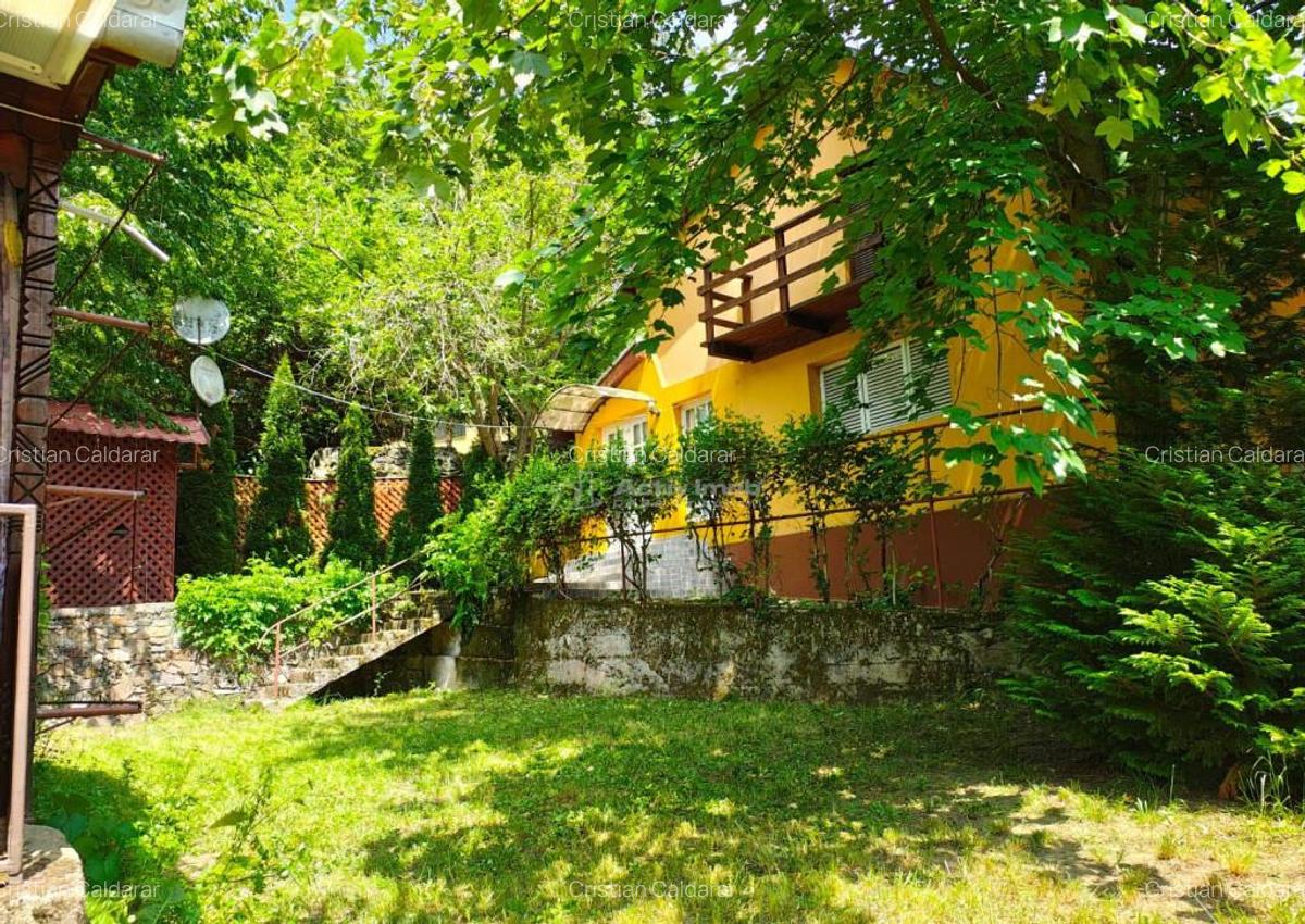 Cabana ta de vis #238;n inima naturii Padurea Neagra ... - 7