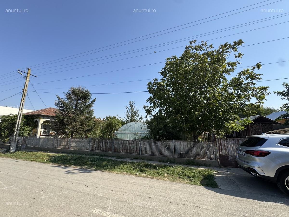 Malu, Giurgiu - 16
