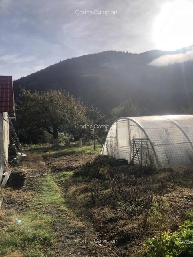 Casă cu teren, garaj, grădină la munte - 12