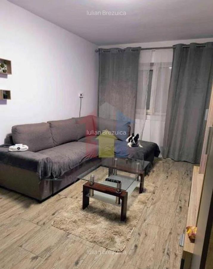 Ap. 2 camere, conf 1, Vidin, etaj 1, mobilat si utilat, reno - 2