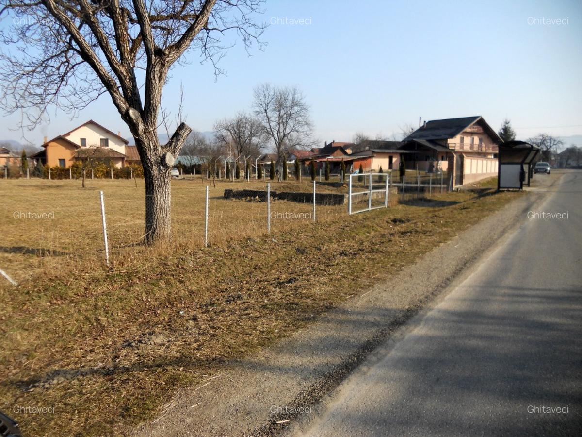 TEREN INTRAVILAN ULTRACENTRAL LA 6 KM DE SIGHET LA SOSEA PRINCIPALA ASFALTATA - 8