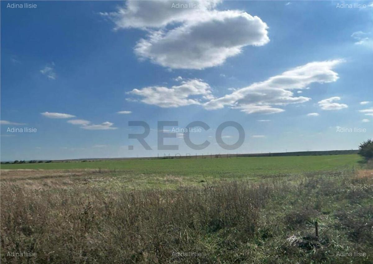 RECO Oportunitate teren 25000mp Santandrei - 3