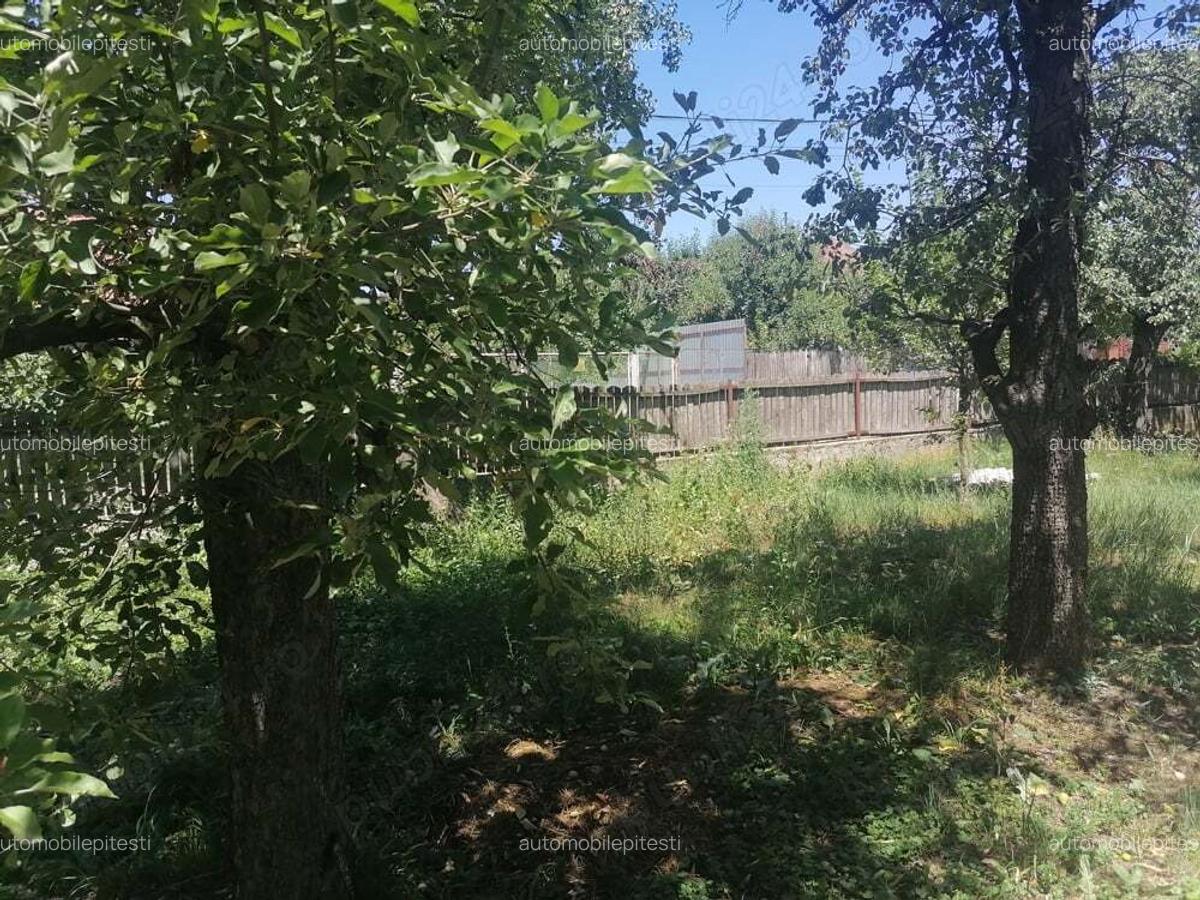 Casa boga?i glambocel - 10