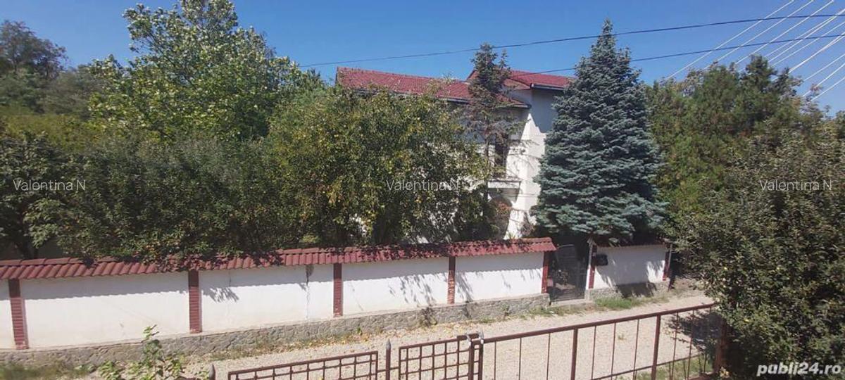 Casa Padurea Baneasa, luminoasa, rezistenta, beci, put propriu, parcare 3 masini - 5