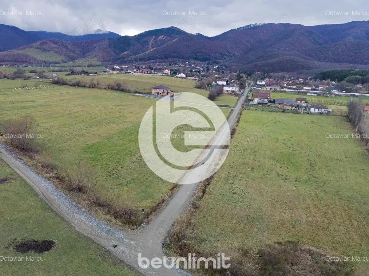 Teren intravilan in Tocile - 4354 m2 - 2 fronturi - oferta competitiva - 13