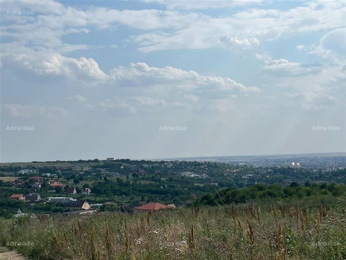 Teren Construcții intravilan de 700 mp, în Săldăbagiu de Munte - 2