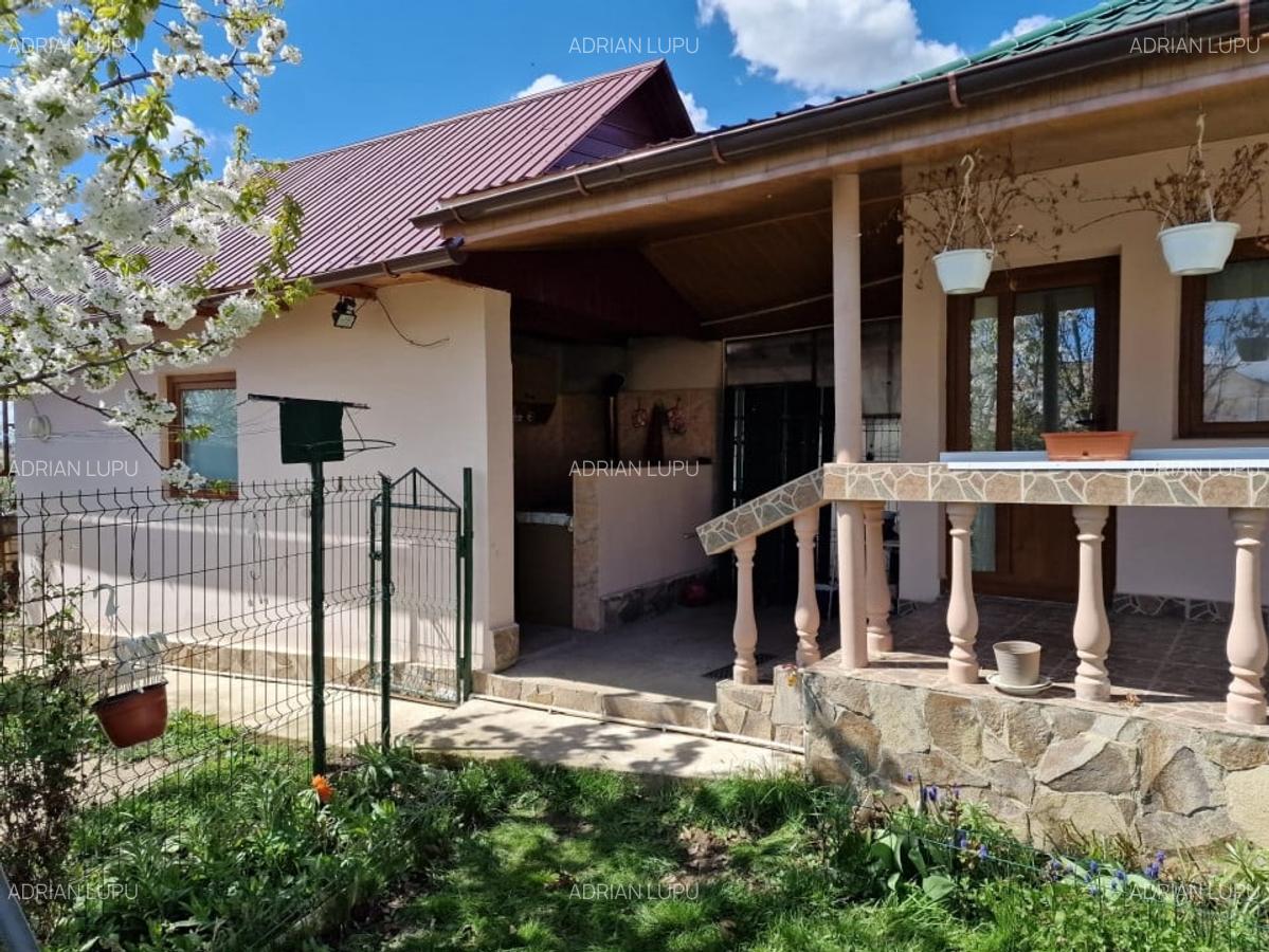 Vanzare Casa Tansa Jud Iasi 4 Camere+ 1000 mp Teren Utilata+Mobilata - 2