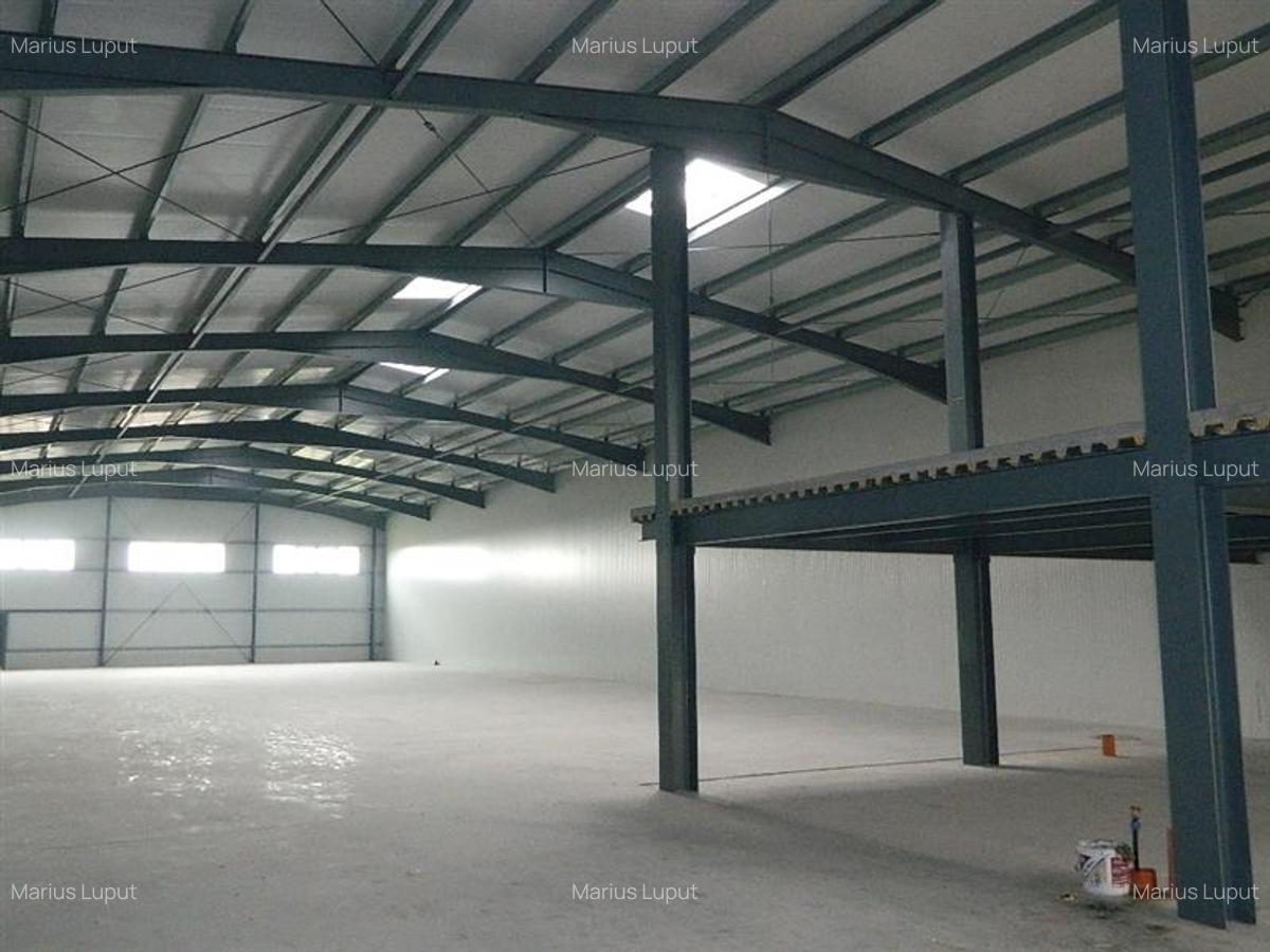 Spațiu industrial, 1000 mp în Torontalului - 2