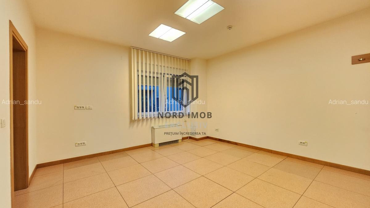 OPORTUNITATE! Spatiu de birouri 6 camere | 266 mp | 5 Bai | 2 terase | Herastrau - 10
