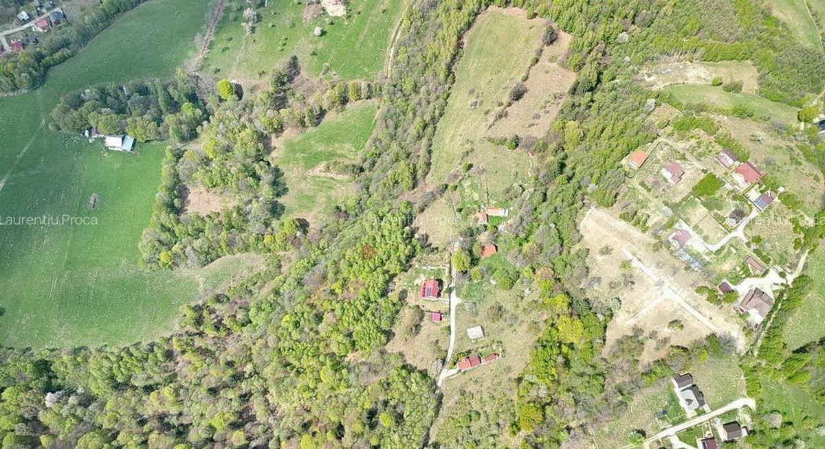 Teren intravilan Bran- Predelut - 11