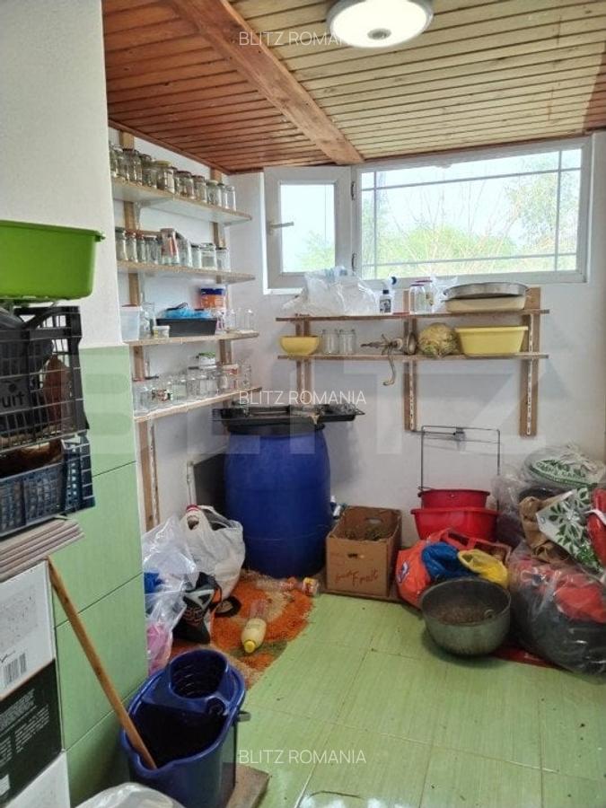 Casa de vacanta cu helesteu 180mp utili, 975mp teren Ulmi - 3