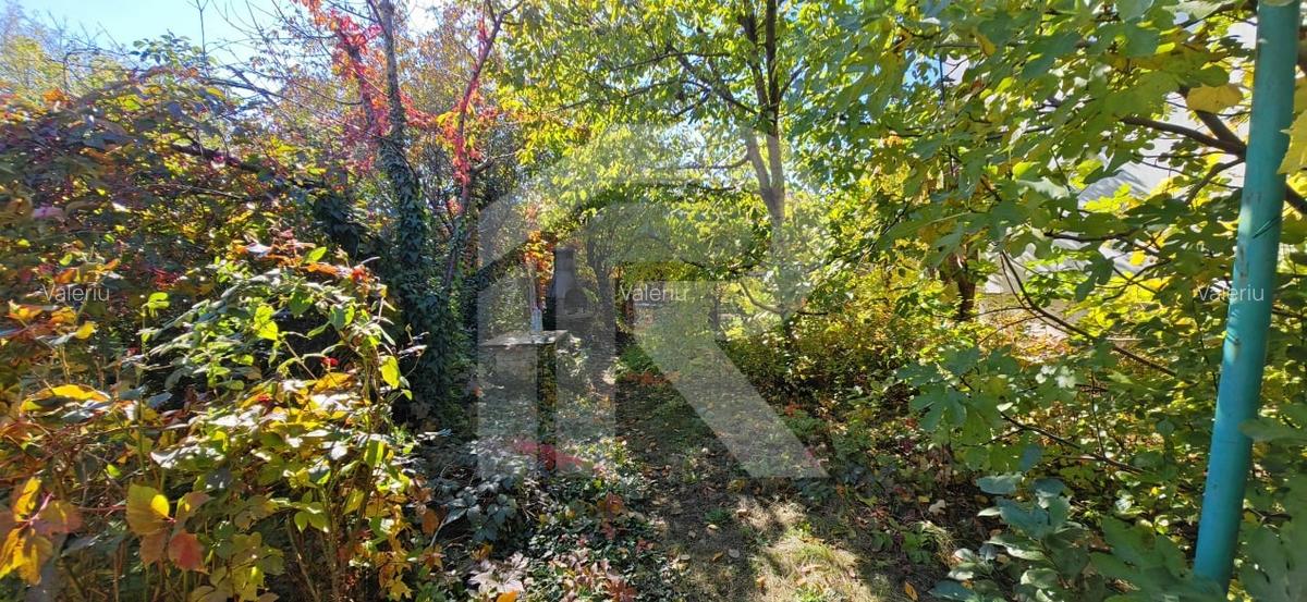 Vila Gabriela Otopeni - 33