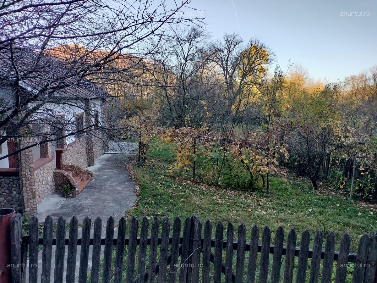 Iedera, Cricovul Dulce, casa batraneasca 90 mp, teren 2.450 mp - 15