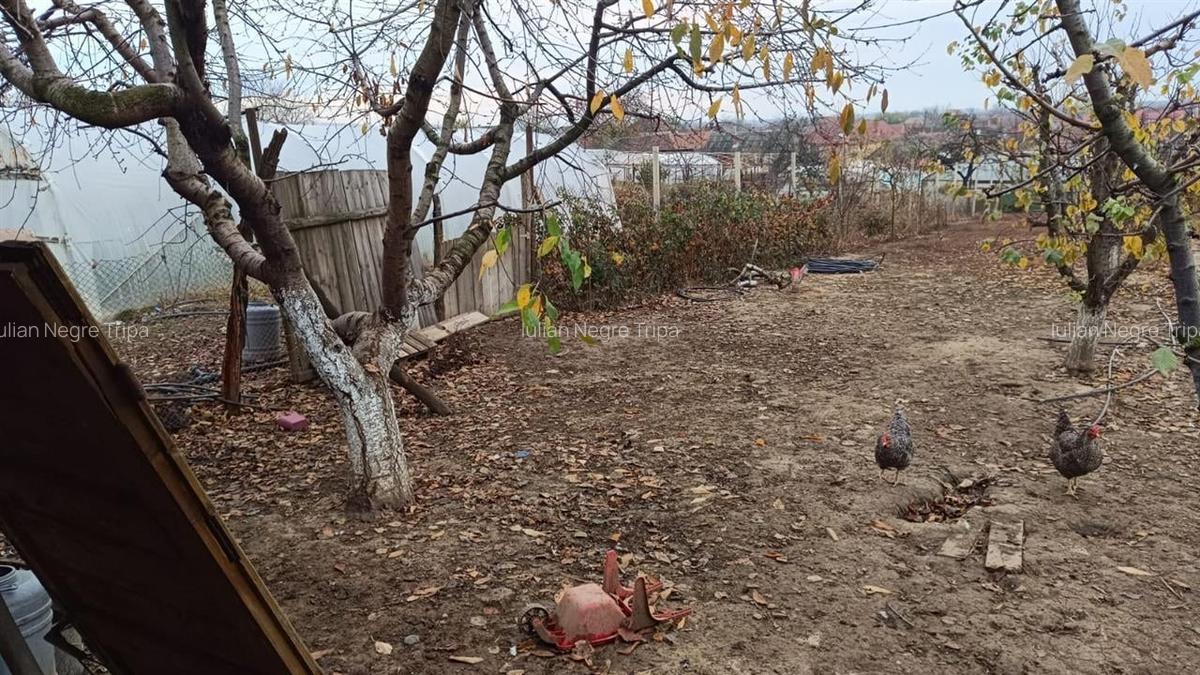 RECO Casa Rosiori - 4