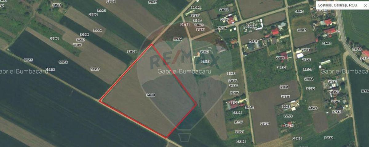Teren intravilan - 17.500 mp - Gostilele Fundulea - 3 Teren intravilan - 17.500 mp - Gostilele Fundulea - 3