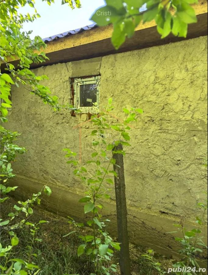 Casa Bogza Sihlea - 6