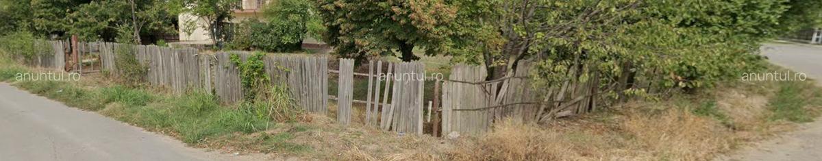 Calarasi valea argovei - 2 Calarasi valea argovei - 2