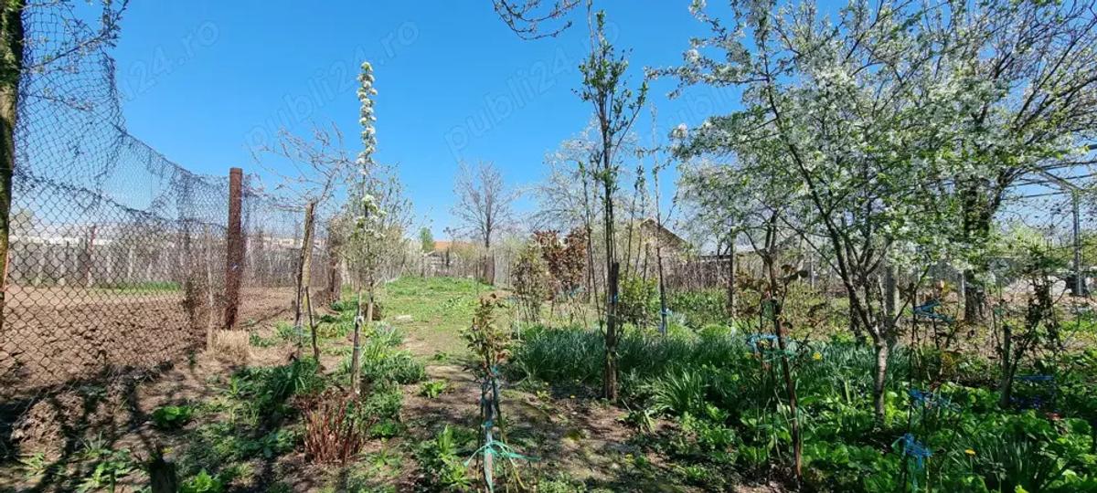 Casa de vanzare - Caracal - jud. Olt - 5