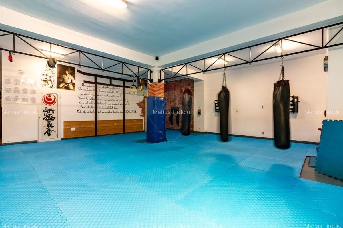 Vila spatioasa si versatila - Zona Margeanului, Bucuresti - 4