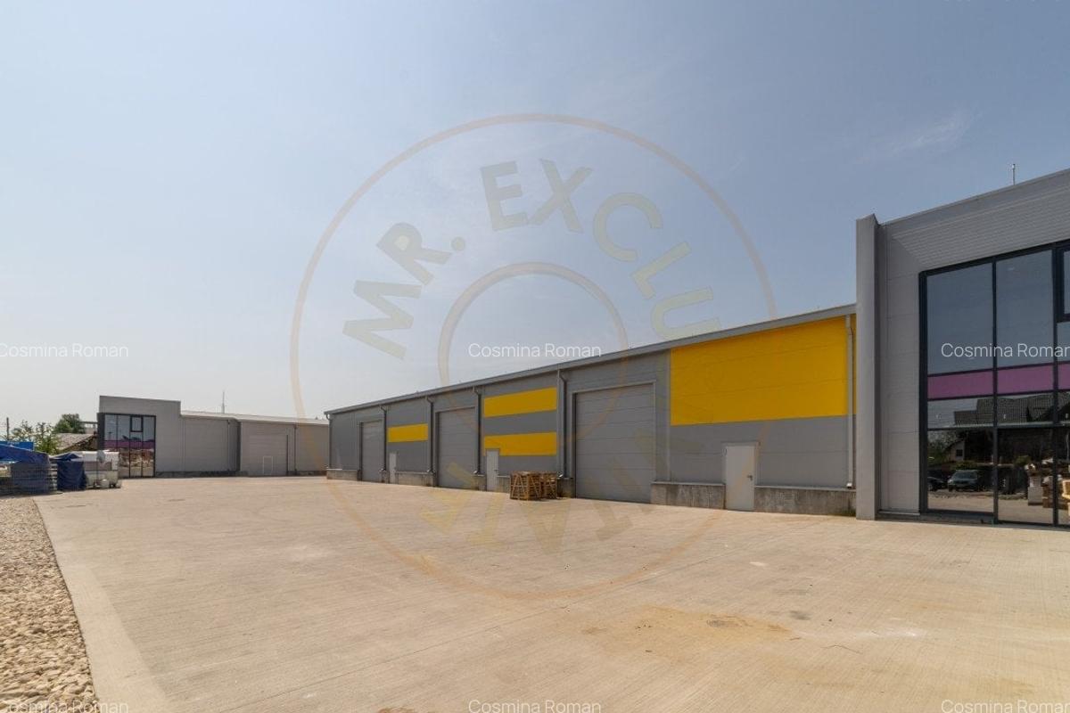 Inchiriere hala noua zona Bascov la DN 7C - 8