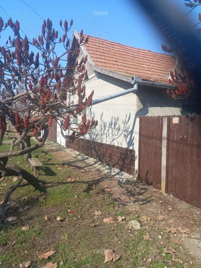 Casa de vanzare in Ungaria - 3