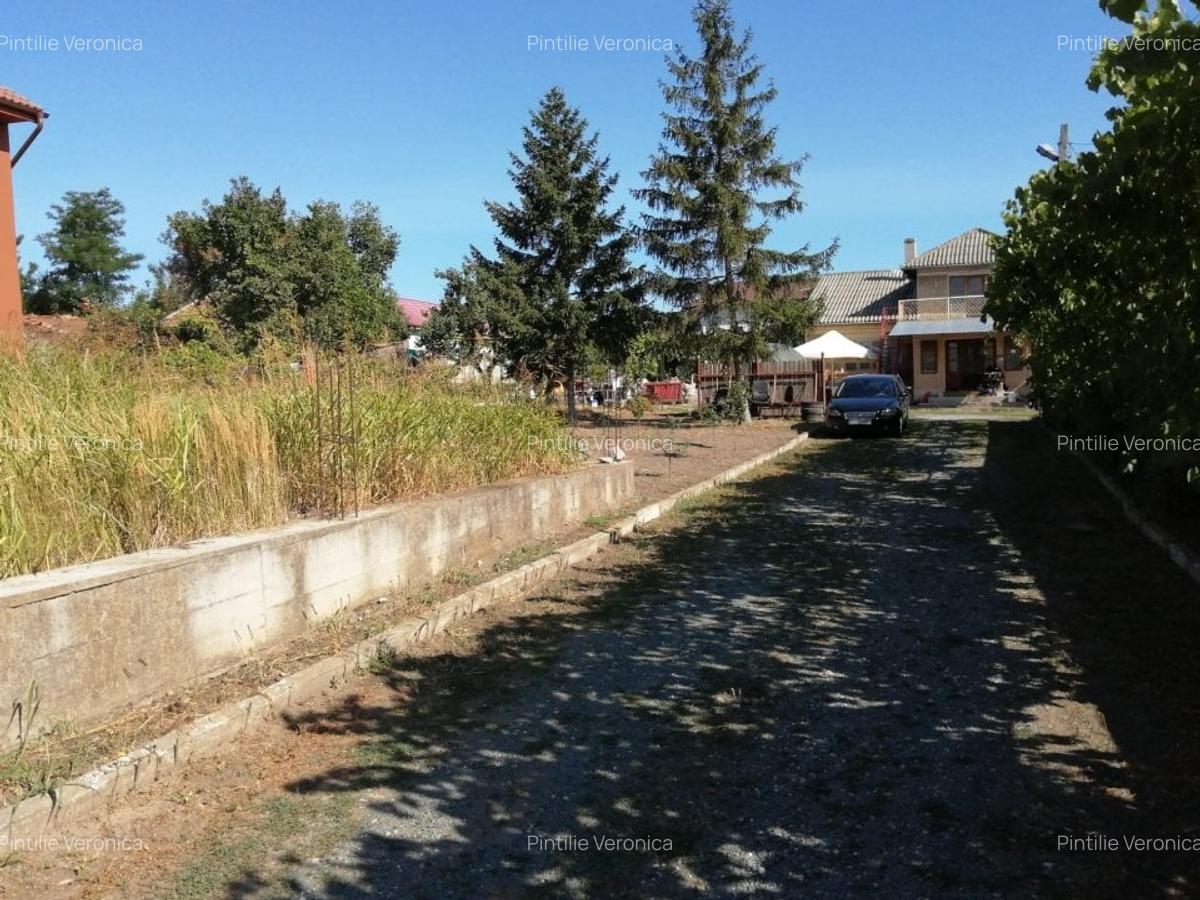 Teren 3500 mp Str Delfinului Foarte Aproape De Lacul Sutghiol - 6